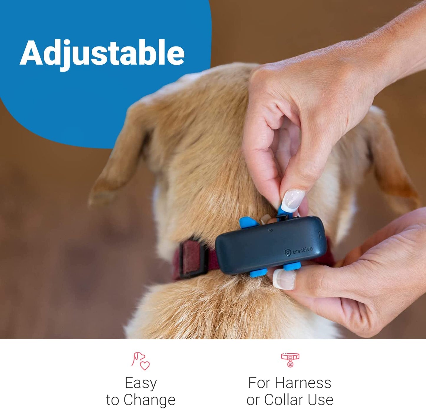 GPS Dog Tracker Rubber Clips X3 (Standard), Blue, 2.8 Cm