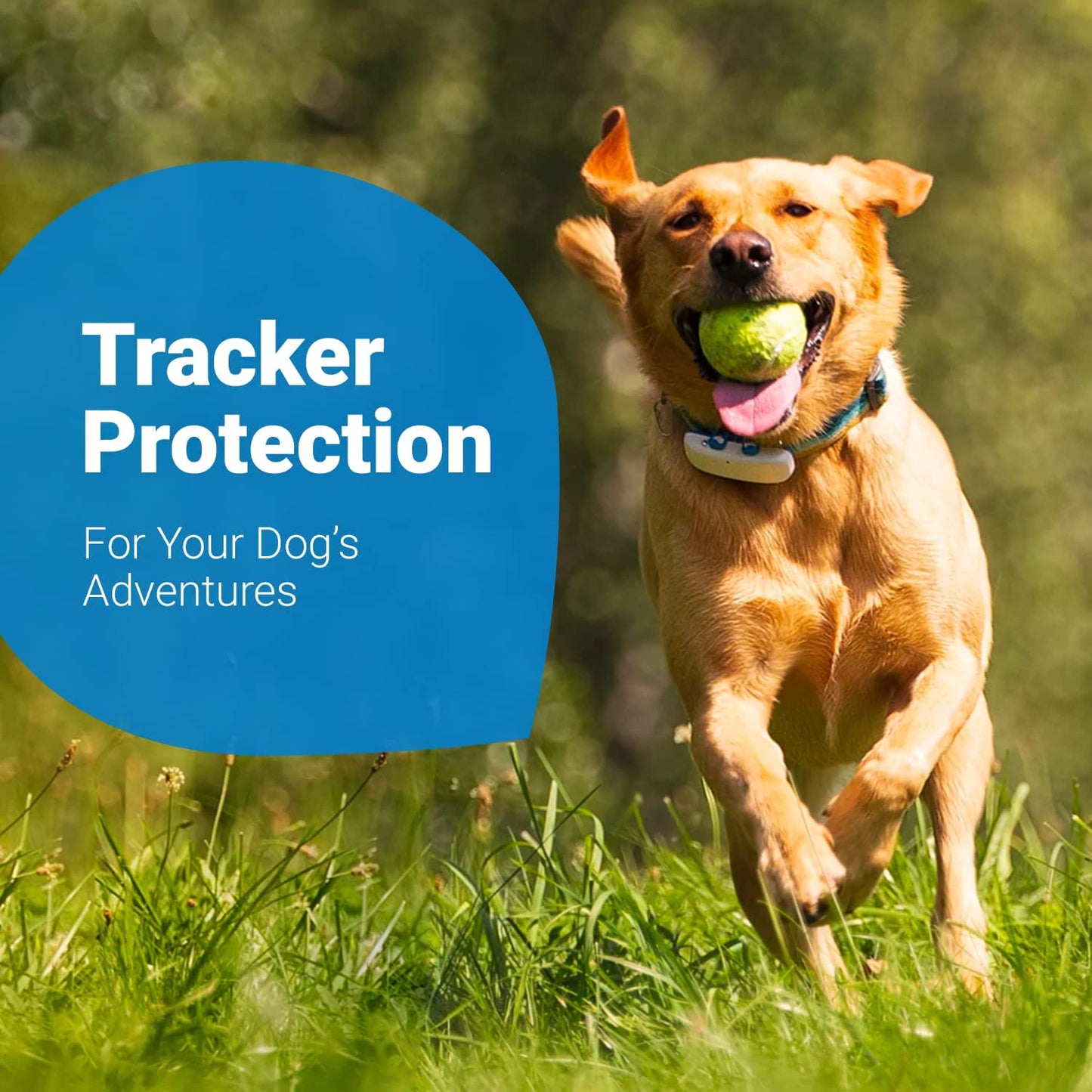 GPS Dog Tracker Rubber Clips X3 (Standard), Blue, 2.8 Cm