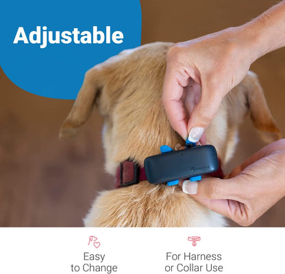 GPS Dog Tracker Rubber Clips X3 (Standard), Blue, 2.8 Cm